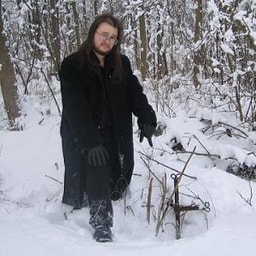 Andrei Voronin